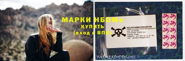 стафф Осинники