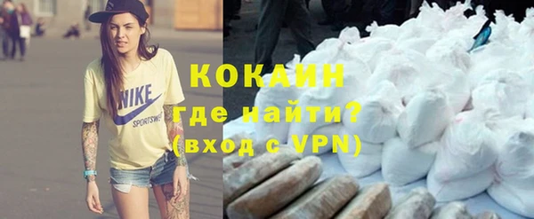 стафф Осинники