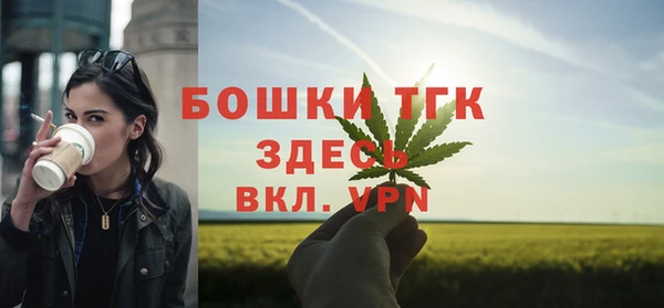 стафф Осинники