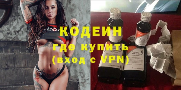 стафф Осинники
