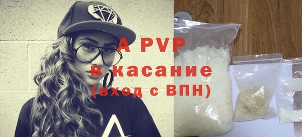 стафф Осинники